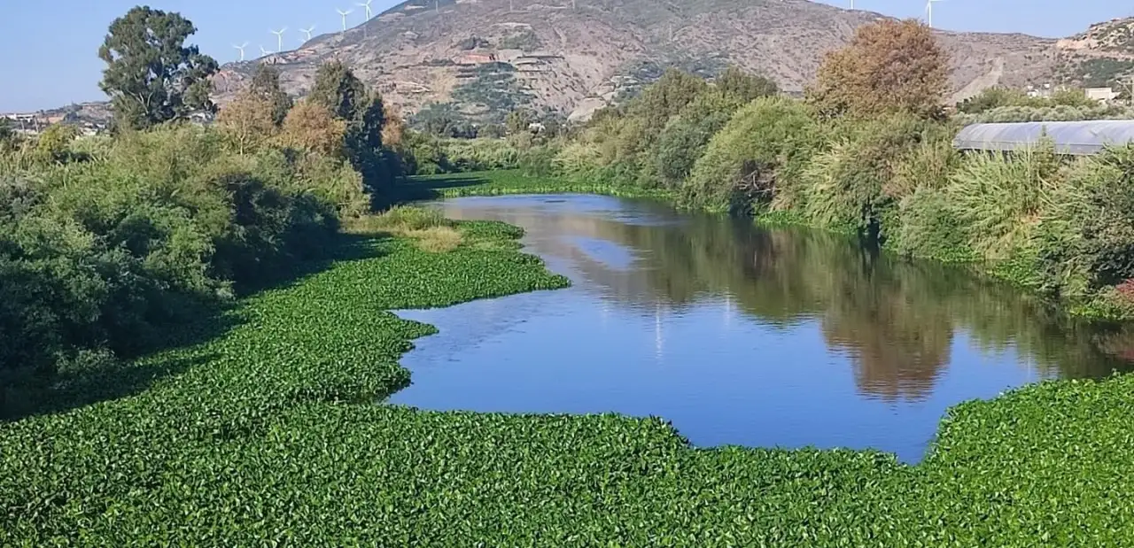 Asi Nehri