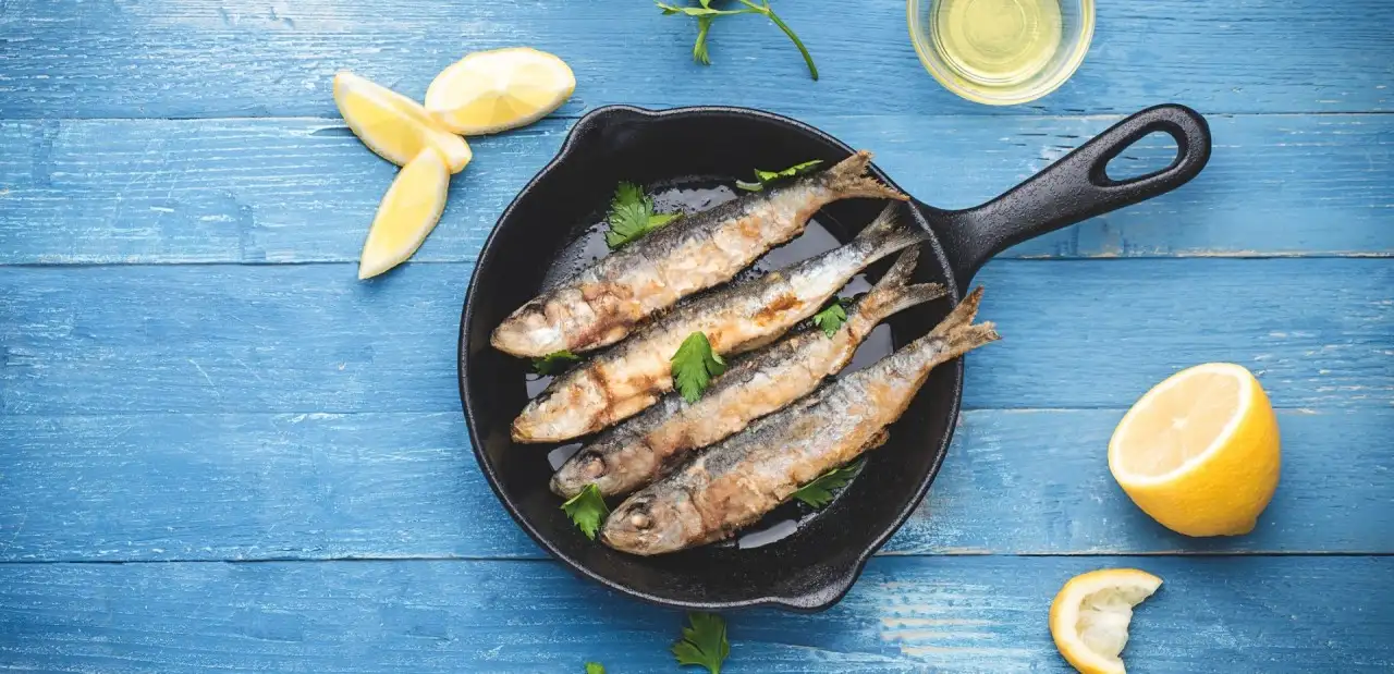 Rumeli Kavağı Balık Restoranları: Rumelikavağı'ndaki En İyi 10 Restoran