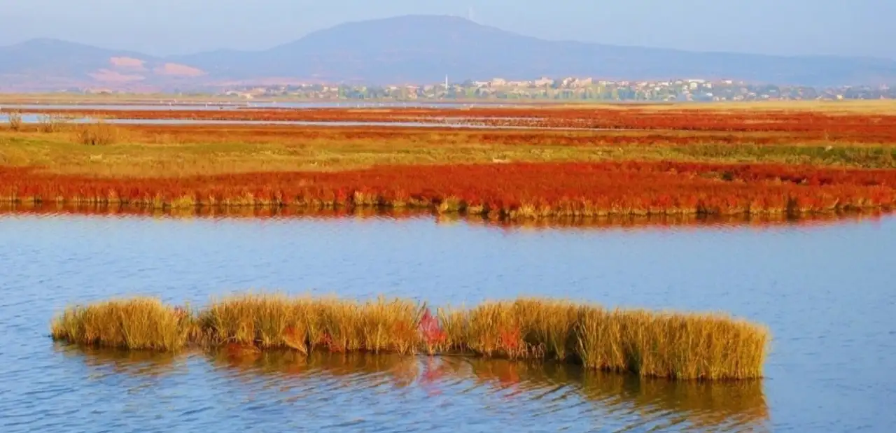 Enez Dalyan Gölü