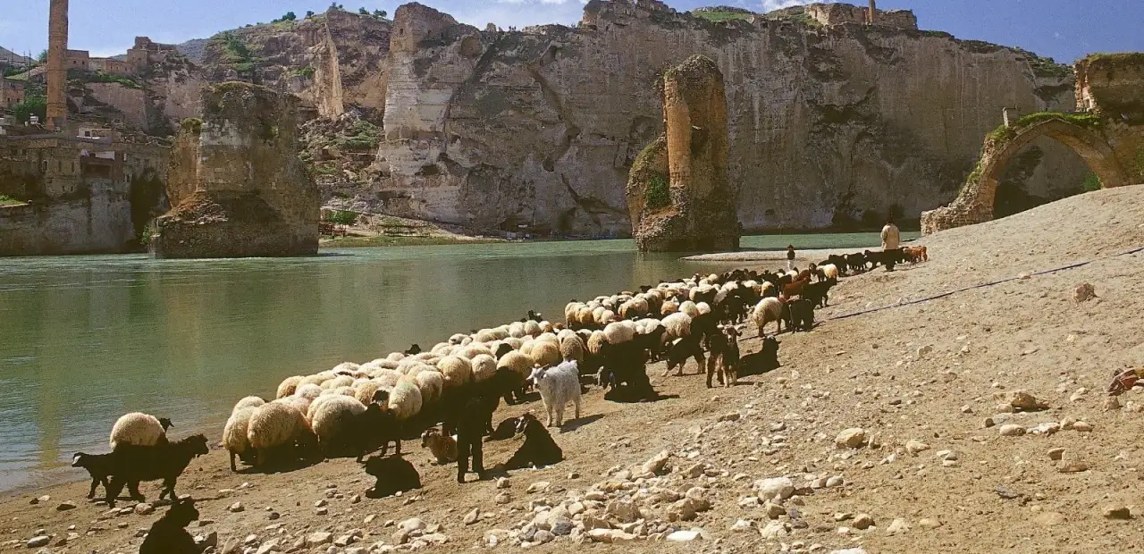 Dicle Nehri