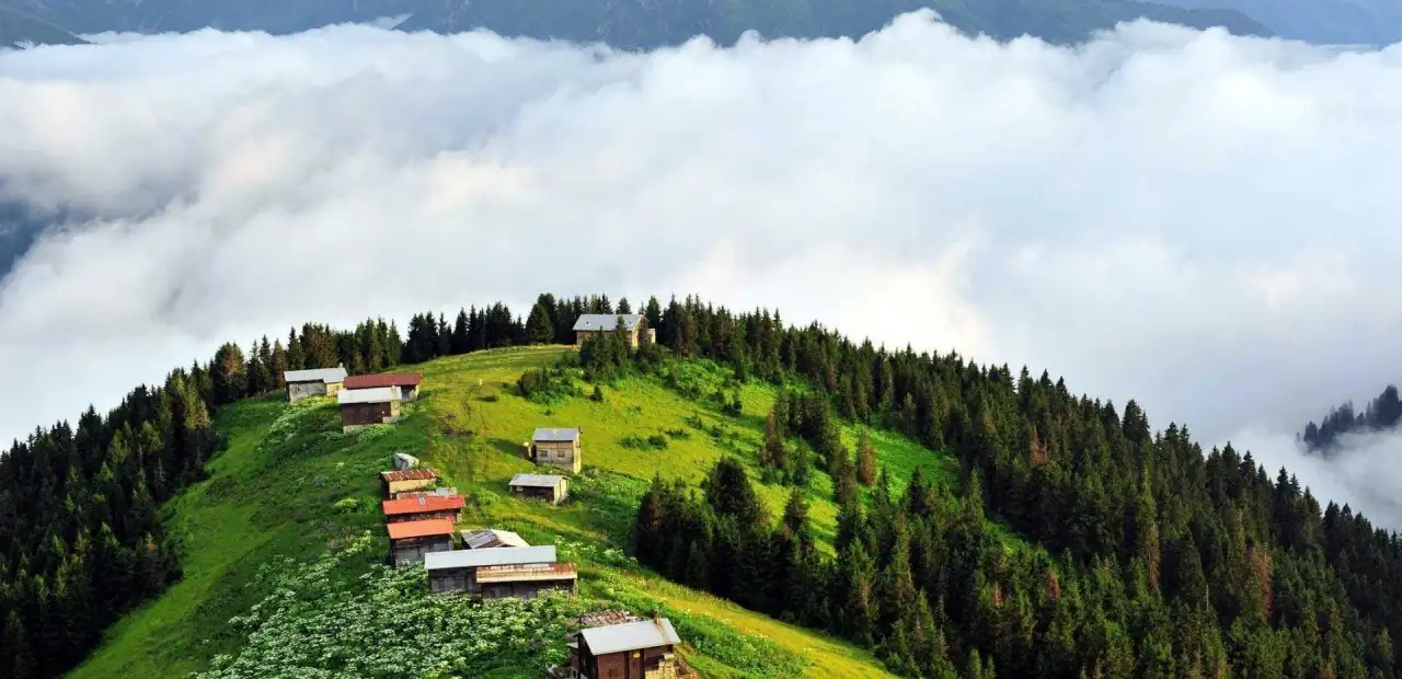 Pokut Yaylası