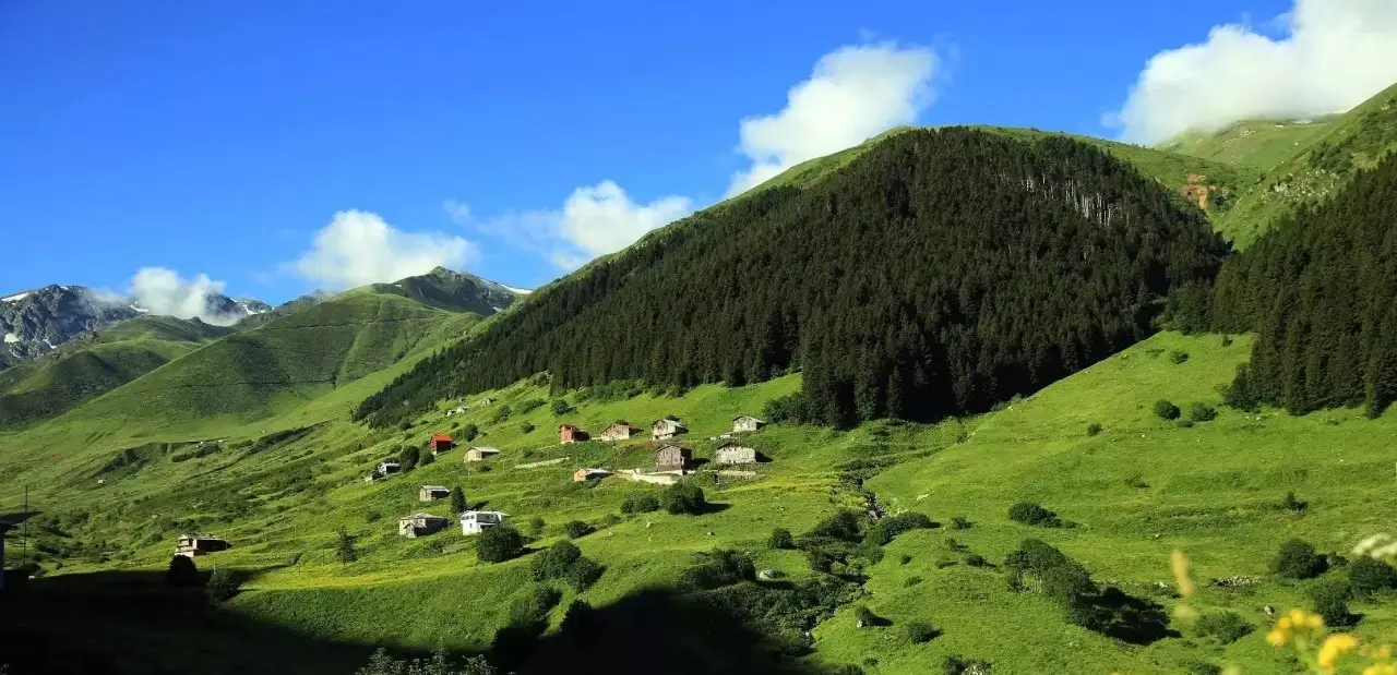 Gürcüdüzü Yaylası