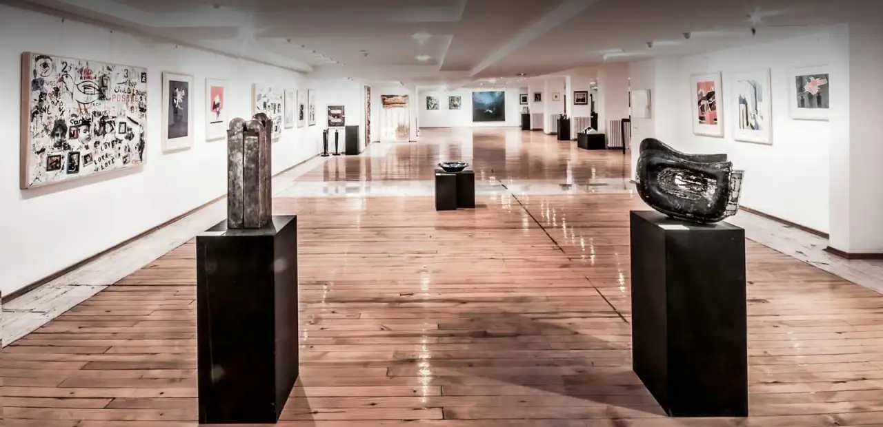 Hacettepe Sanat Müzesi